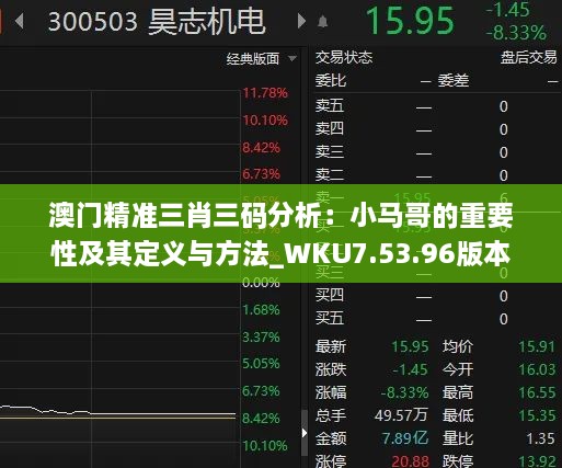 澳门精准三肖三码分析：小马哥的重要性及其定义与方法_WKU7.53.96版本详解