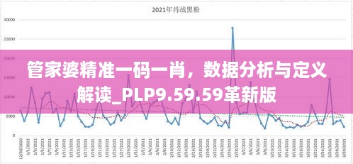 管家婆精准一码一肖，数据分析与定义解读_PLP9.59.59革新版