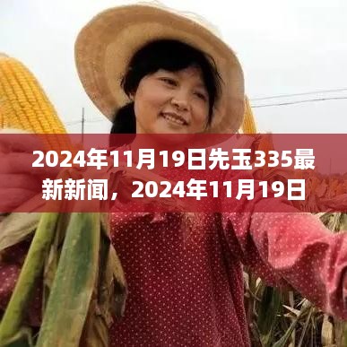 先玉335引领自然美景探寻之旅，最新新闻与内心平静的启示