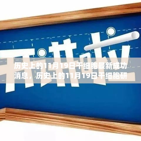 历史上的11月19日干细胞研究重大突破与最新成功消息全解析