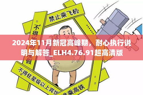 2024年11月新冠高峰期，耐心执行说明与解答_ELH4.76.91超高清版