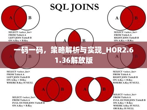 一码一码，策略解析与实现_HOR2.61.36解放版