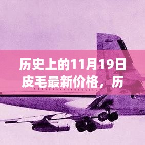 揭秘，历史上的皮毛市场风云变幻与11月19日最新皮毛价格走势揭秘