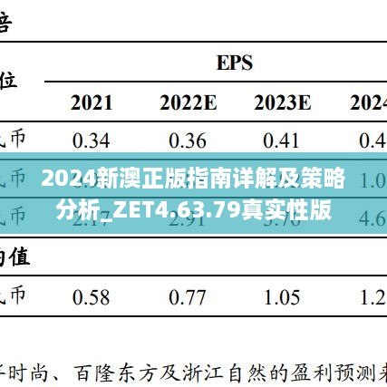 2024新澳正版指南详解及策略分析_ZET4.63.79真实性版