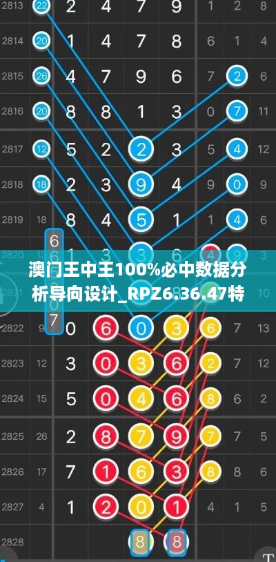 澳门王中王100%必中数据分析导向设计_RPZ6.36.47特别版