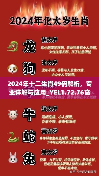 2024年十二生肖49码解析，专业详解与应用_YEL1.72.76高端版