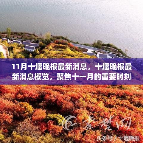 11月十堰晚报最新消息概览，聚焦十一月重要时刻