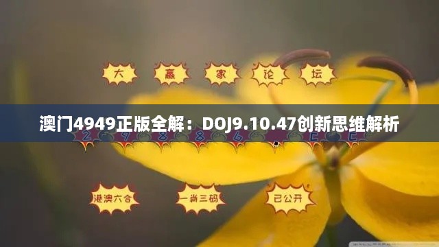 澳门4949正版全解：DOJ9.10.47创新思维解析