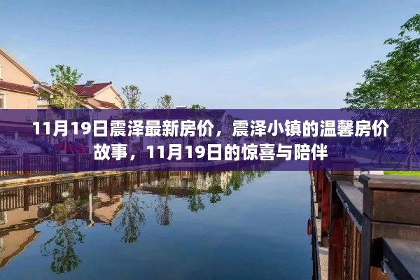 震泽小镇最新房价揭秘，温馨故事与惊喜相伴的11月19日