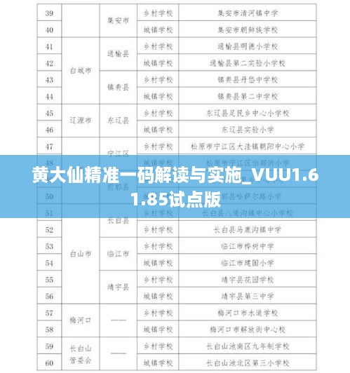 黄大仙精准一码解读与实施_VUU1.61.85试点版