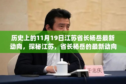 江苏省长杨岳最新动向揭秘，探寻江苏独特风味与政务动态