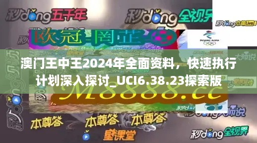 澳门王中王2024年全面资料，快速执行计划深入探讨_UCI6.38.23探索版