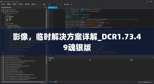 影像，临时解决方案详解_DCR1.73.49魂银版