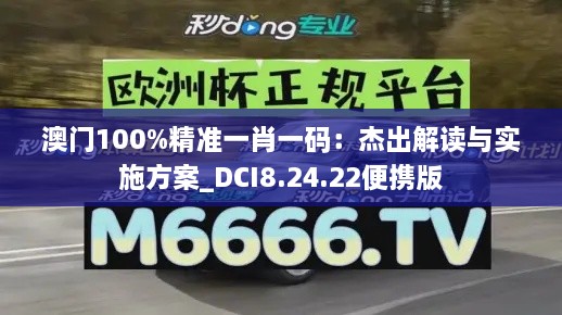 澳门100%精准一肖一码：杰出解读与实施方案_DCI8.24.22便携版