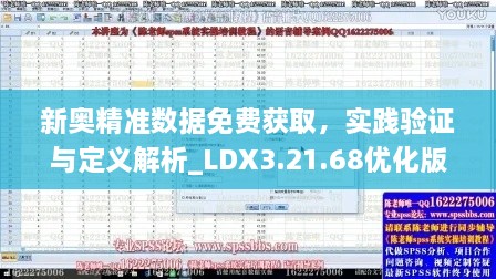 新奥精准数据免费获取，实践验证与定义解析_LDX3.21.68优化版