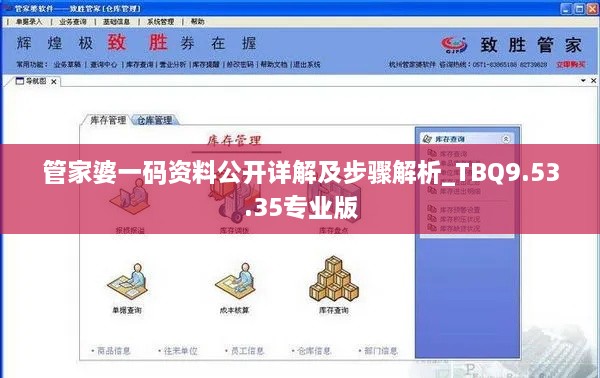 管家婆一码资料公开详解及步骤解析_TBQ9.53.35专业版