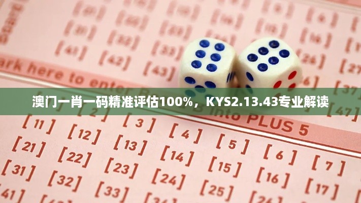 澳门一肖一码精准评估100%，KYS2.13.43专业解读