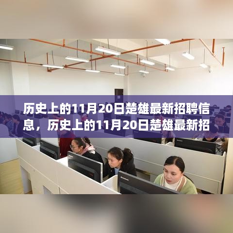 历史上的11月20日楚雄最新招聘信息深度解析与介绍