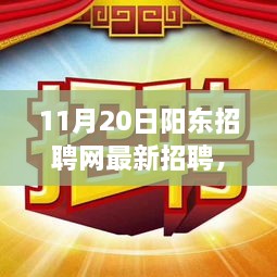 11月20日阳东招聘网，阳光下的求职奇遇与最新招聘故事