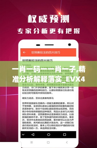 一肖一码一一肖一子,精准分析解释落实_EVX4.80.60精致生活版