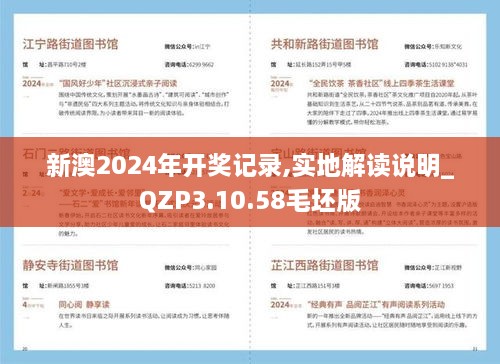 新澳2024年开奖记录,实地解读说明_QZP3.10.58毛坯版