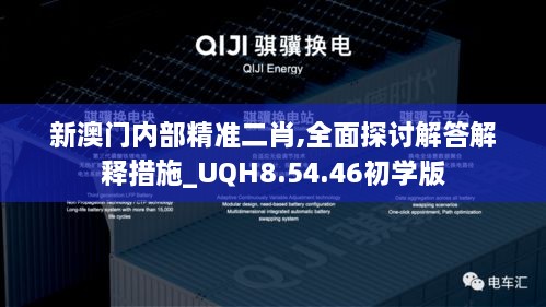 新澳门内部精准二肖,全面探讨解答解释措施_UQH8.54.46初学版