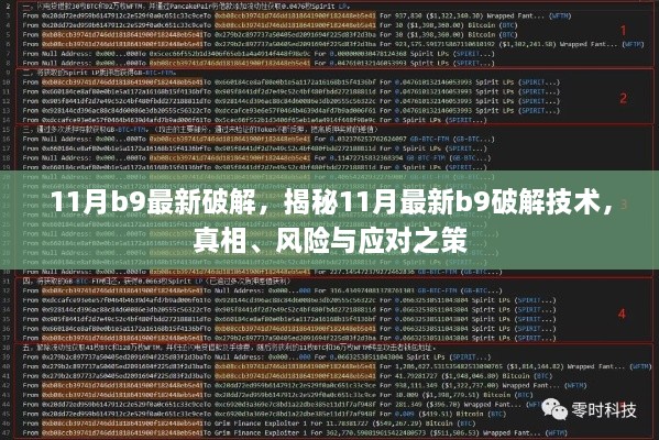 揭秘最新B9破解技术，真相、风险与应对策略（盈利行业警示）