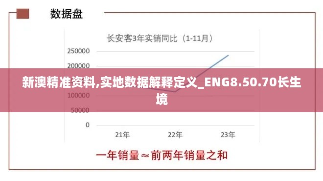 新澳精准资料,实地数据解释定义_ENG8.50.70长生境