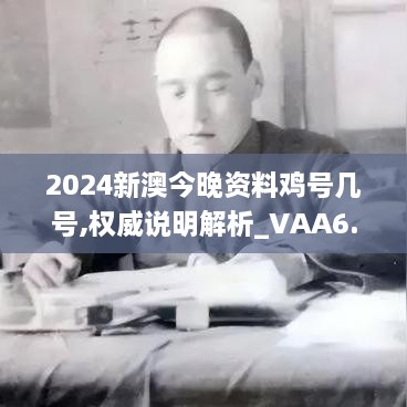 2024新澳今晚资料鸡号几号,权威说明解析_VAA6.60.22薪火相传版