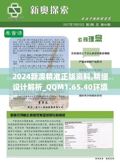 2024新澳精准正版资料,精细设计解析_QQM1.65.40环境版