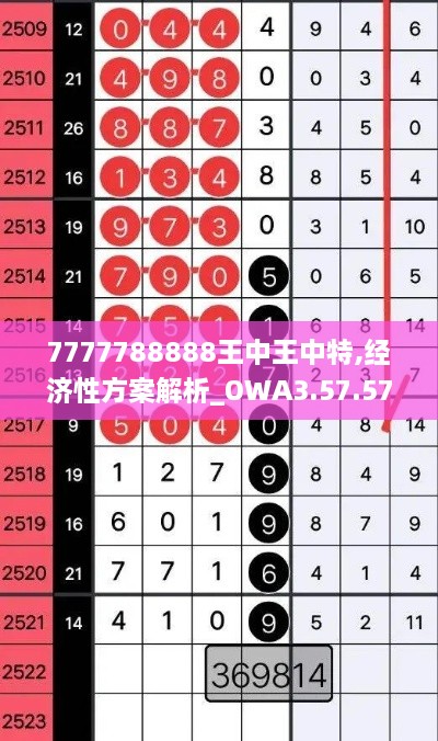 7777788888王中王中特,经济性方案解析_OWA3.57.57温馨版