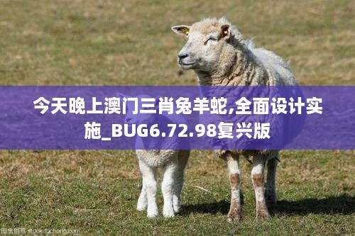 今天晚上澳门三肖兔羊蛇,全面设计实施_BUG6.72.98复兴版