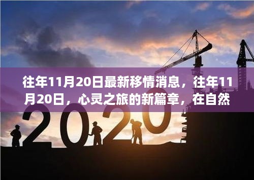 往年11月20日心灵之旅新篇章，自然美景中的内心平静寻觅记