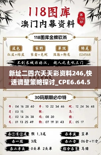 新址二四六天天彩资料246,快速调整策略探讨_CPE6.64.54定向版