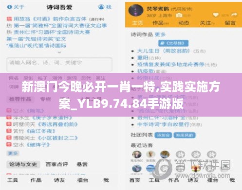 新澳门今晚必开一肖一特,实践实施方案_YLB9.74.84手游版