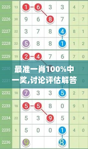 最准一肖100%中一奖,讨论评估解答解释计划_VNJ9.55.87掌中版