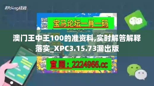 澳门王中王100的准资料,实时解答解释落实_XPC3.15.73漏出版