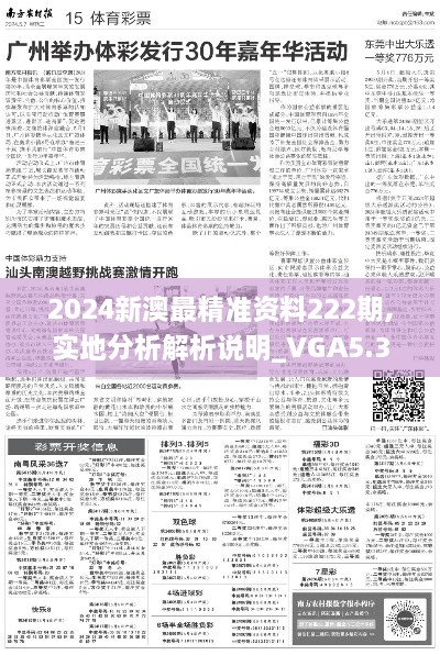 2024新澳最精准资料222期,实地分析解析说明_VGA5.30.48和谐版