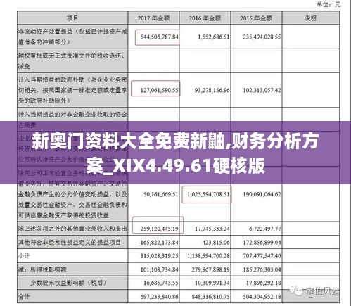 新奥门资料大全免费新鼬,财务分析方案_XIX4.49.61硬核版