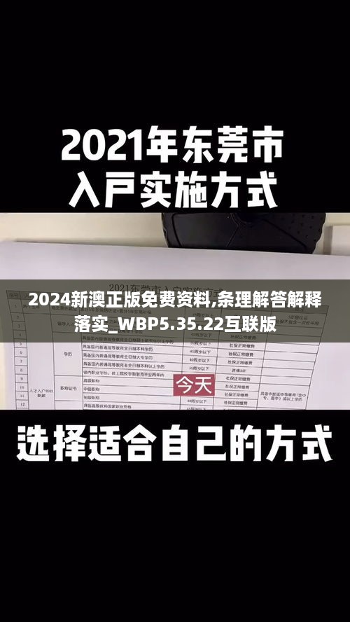 2024新澳正版免费资料,条理解答解释落实_WBP5.35.22互联版