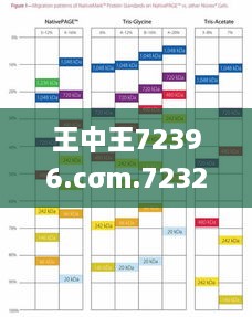 王中王72396.cσm.72326查询精选16码一,更多知识全面解答_FYG2.21.60钻石版