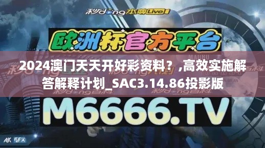 2024澳门天天开好彩资料？,高效实施解答解释计划_SAC3.14.86投影版