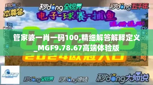 管家婆一肖一码100,精细解答解释定义_MGF9.78.67高端体验版