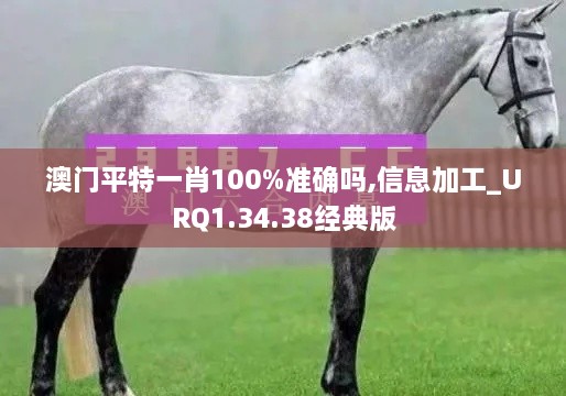 澳门平特一肖100%准确吗,信息加工_URQ1.34.38经典版