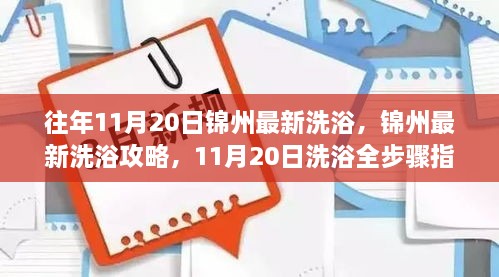 锦州最新洗浴攻略，初学者与进阶用户洗浴指南（11月20日版）