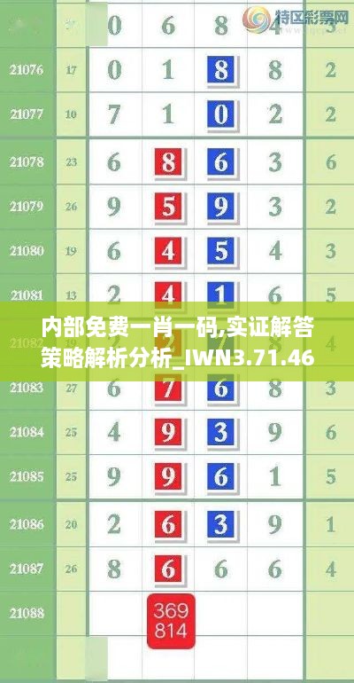 内部免费一肖一码,实证解答策略解析分析_IWN3.71.46启天境