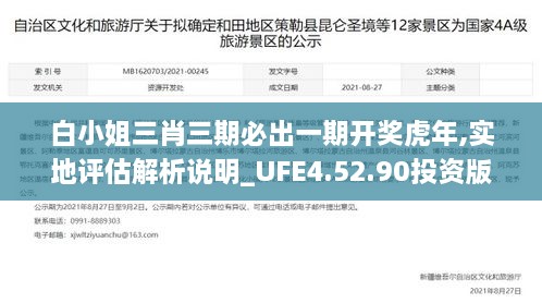 白小姐三肖三期必出一期开奖虎年,实地评估解析说明_UFE4.52.90投资版