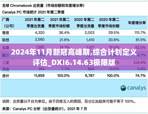 2024年11月新冠高峰期,综合计划定义评估_DXI6.14.63极限版