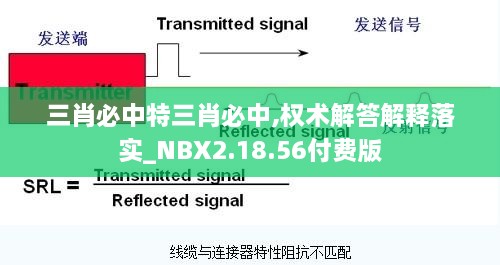 三肖必中特三肖必中,权术解答解释落实_NBX2.18.56付费版