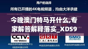 今晚澳门特马开什么,专家解答解释落实_XDS9.16.98共享版